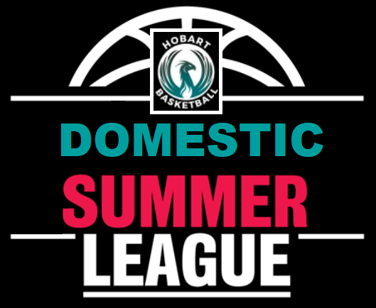 HPBA Summer Domestic League